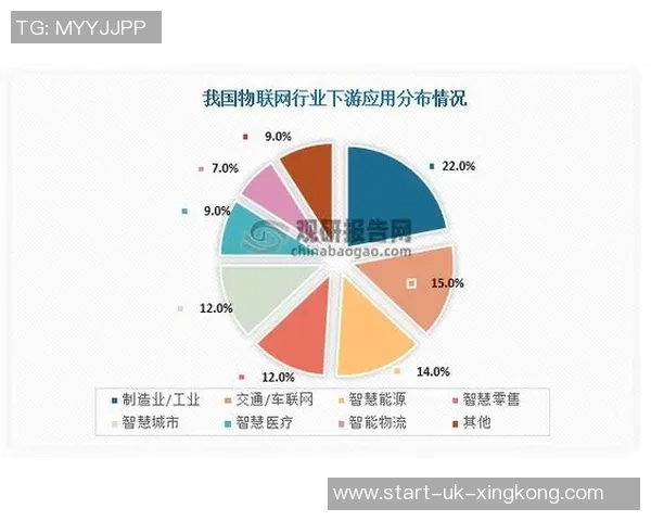足球行业发展现状与未来趋势深度分析及市场机会探讨